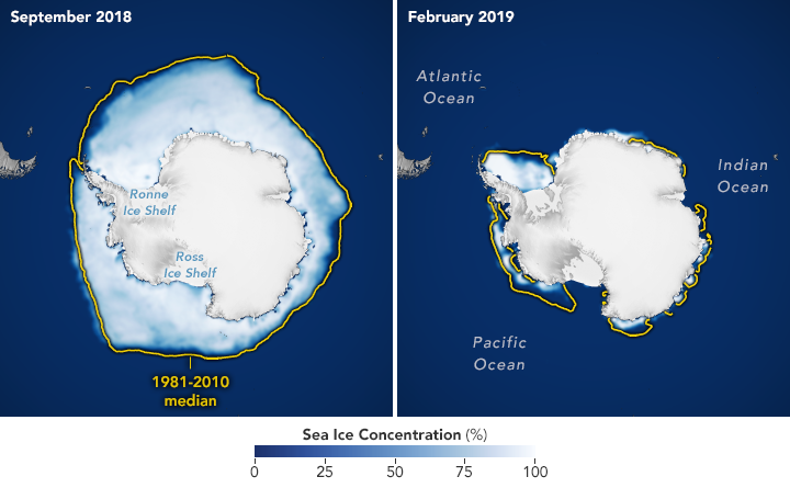 Datei:Antarctic nsidc 2019.png