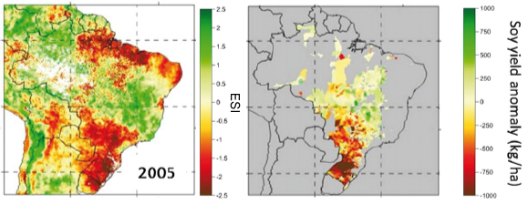 Datei:Brazil drought Sos yield.jpg