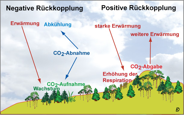 Datei:Rueckkopplung CO2.jpg