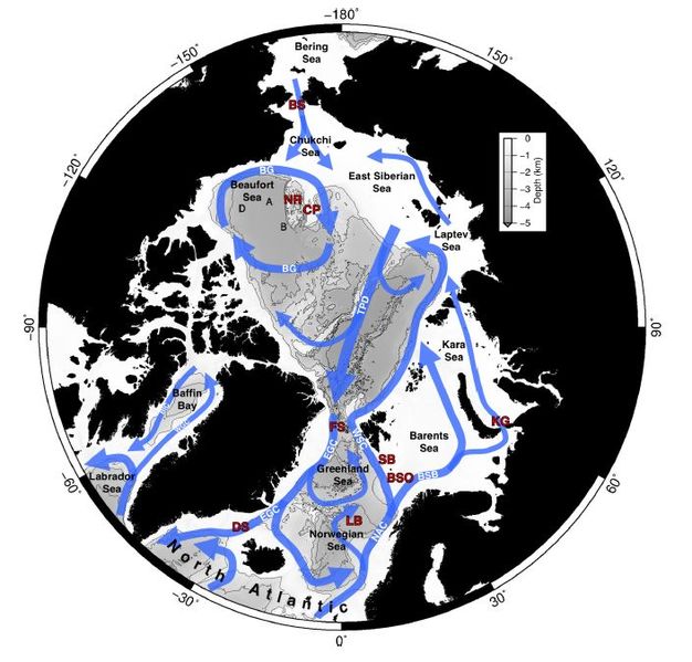 Datei:Arctic Ocean currents.jpg