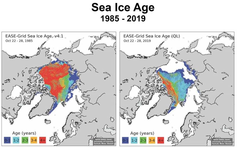 Datei:Arctic ice-age 1985 2019.ai.jpg