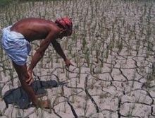 Bangladesh paddy drought.jpg