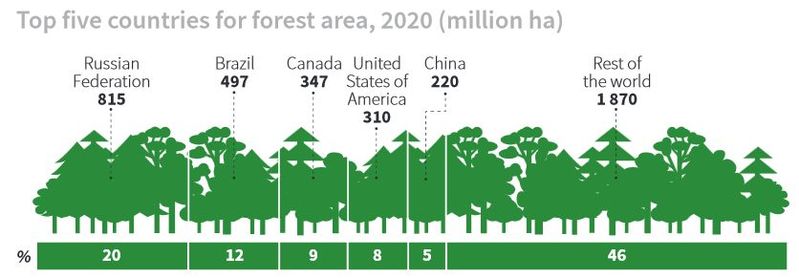 Datei:Forest top5 countries2020.jpg