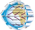 Globale Zirkulation Zirkulationszellen und Windsysteme der atmosphärischen Zirkulation Lizenz: public domain
