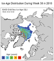 Altersverteilung des arktischen Meereises Mitte Sept. 2018 Lizenz: public domain