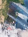 Waldbrände in Australien 2019/2020 Satellitenbild vom 31. Dezember 2019 Lizenz: public domain