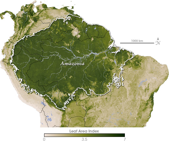 Datei:Amazonia LAI.jpg