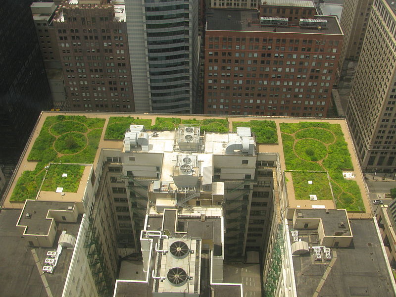 Datei:Chicago Green Roof.JPG