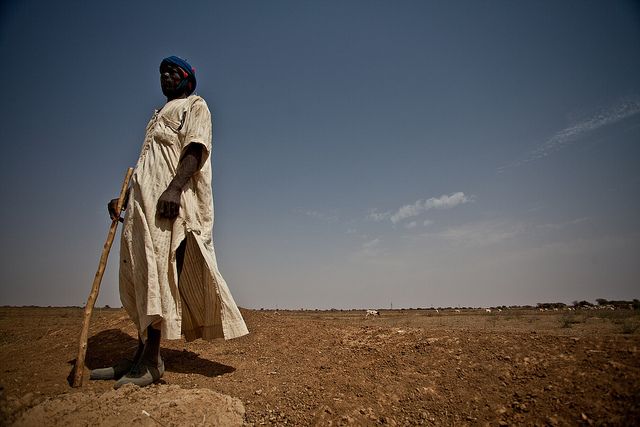 Datei:Hirte Mauretanien2012.jpg