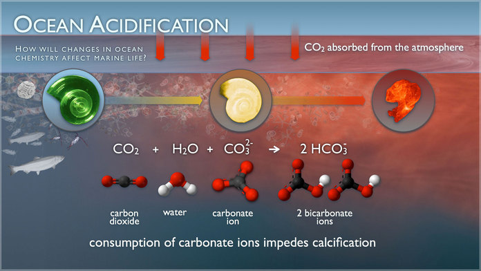 Datei:Ocean-acidification chem.jpg