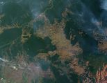 Waldbrände in Rondonia Waldbrände und Waldvernichtung in Rondonia (brasilianisches Amazonasgebiet) 2007. Lizenz: public domain