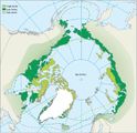 Gliederung der Arktis Vegationszonen Lizenz: nichtkommerziell
