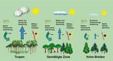 Wirkung auf das Klima in verschiedenen Klimazonen Lizenz: CC BY-SA