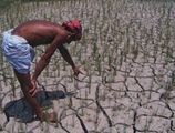 Von Dürre betroffenes Reisfeld Bangladesch Lizenz: CC BY-NC-ND