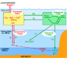 Ozeanische Kohlenstoffkreislauf chemisch-biologisch physikalisch Lizenz: nach IPCC-Vorlage (2001)