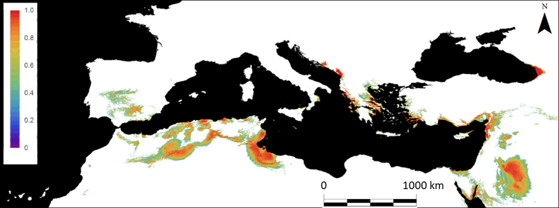 Datei:Current suitability map of white mustard in the Mediterranean Basin based on the GLM results.PNG