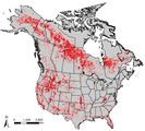 Feuergebiete in Nordamerika Gebiete in Nordamerika, in denen es 1984-2014 gebrannt hat (rot). Lizenz: CC BY