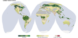 Globale Waldbedeckung bei 30 % Baumbedeckung Lizenz: public domain