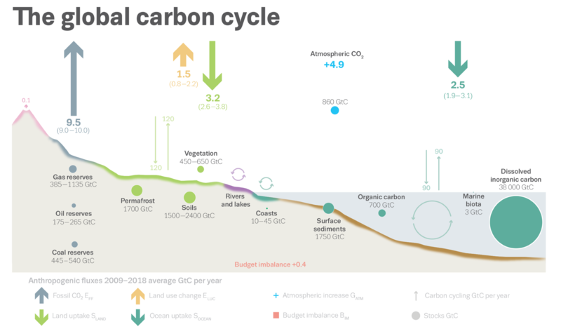 Datei:Global carbon cycle.png