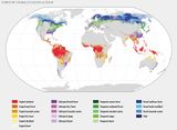Globale Waldbedeckung nach öökologischen Zonen Lizenz: CC BY-NC-SA