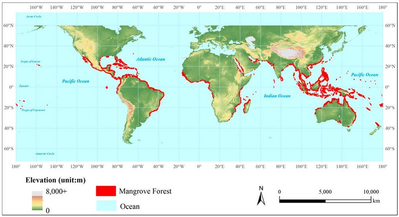 Datei:Global mangroves distribution.jpg