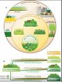 Ursachen für Änderungen von Grass-Ökosystemen Lizenz: CC BY