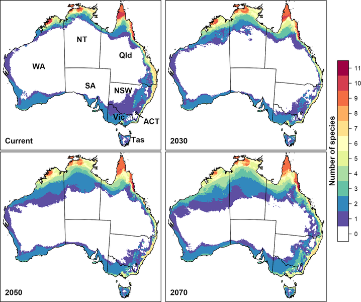 Datei:Hotspot maps of habitat suitability for the 11 fruit fly species under climate change.PNG
