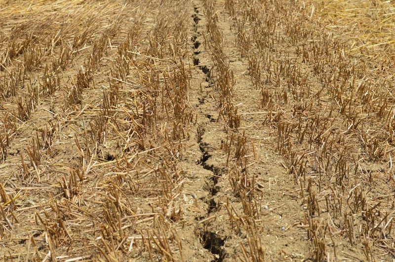 Datei:Italy dry soil.jpg