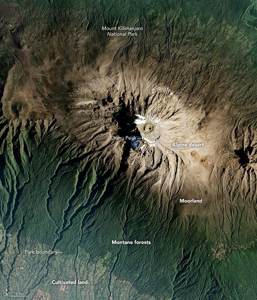 Datei:Kilimanjaro vegetation zones.jpg