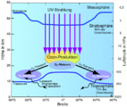 Entstehung und Transport von stratospärischem Ozon Lizenz: eigene Darstellung nach WMO