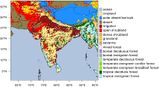 Bodenbedeckung in Südasien Bodenbedeckung in Südasien mit Bewässerungsflächen im Indus- und Gangestal Lizenz: CC BY-NC