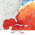 Meeresoberflächentemperatur Golf von Mexiko und Atlantik Lizenz: public domain