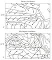 Oberflächenwinde in Westafrika Winde und Luftdruck im Winter und Sommer Lizenz: CC BY