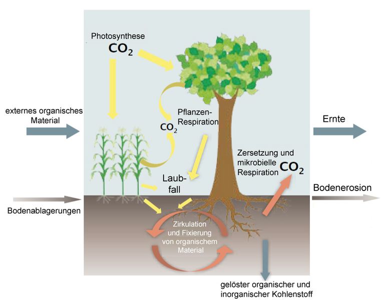 Datei:Soil-CO2.jpg